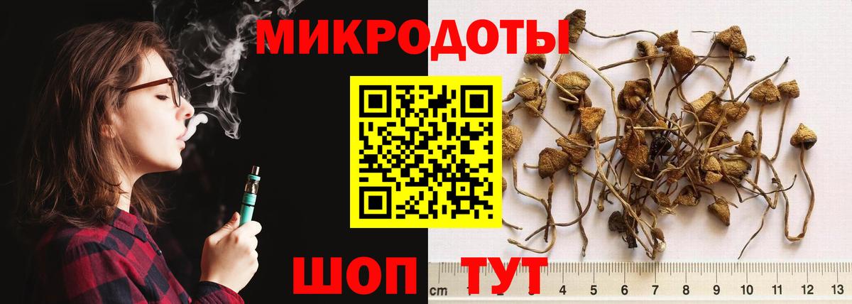 Заводоуковск  Галлюциногенные грибы Cubensis  Вход с VPN 