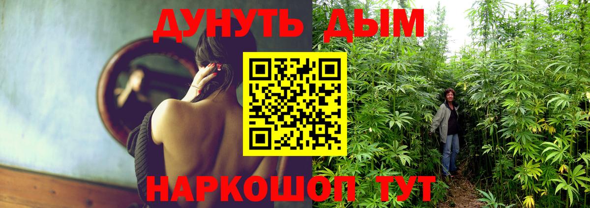 Канабис конопля Заводоуковск